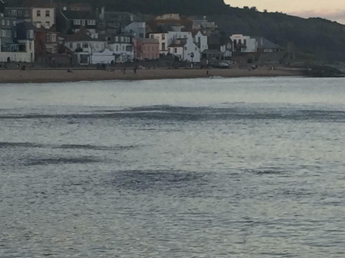 Little Monmouth 4 Bedroom Cottage, Old Town Lyme Regis, Dog Friendly And Parking Экстерьер фото